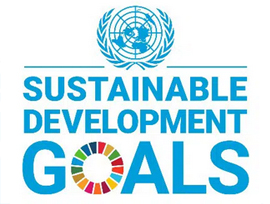 obiettivi di sviluppo sostenibile</b> (SDGs Sustainable Development Goals)